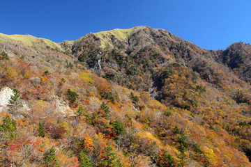 剣山系、次郎岌の秋