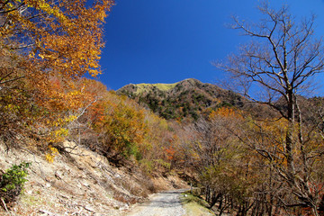剣山系、次郎岌の秋