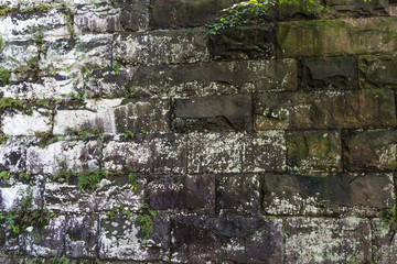 old stone wall with green moss