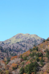 剣山系、次郎岌の秋