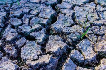 Cracked ground,Dry land. Cracked ground background,Dry cracked ground filling