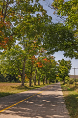 First Bits of Color As Summer Comes to and End
