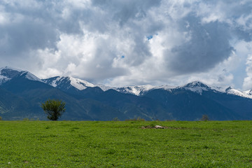 Fototapeta premium Meadow with background panorama of Pirin mountains near Bansko, Bulgaria