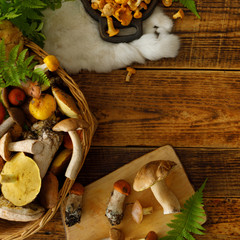 Mushrooms on old wooden background. Card on autumn or summertime. Forest harvest. Boletus, chanterelles, leaves, berries. Flat lay. Square.