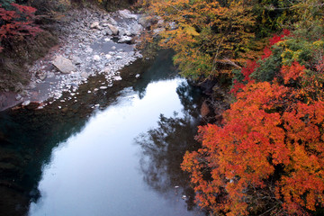 那賀川上流の紅葉
