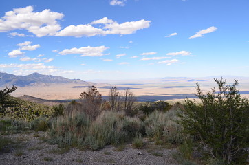 Late Spring in Nevada: Overlooking Great Basin