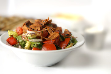 Meals chicken Beef Kabab with Hummus, pita bread, salad and rice 