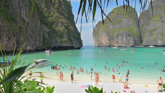 Turquoise shallow sea water, fine white sand beach, green coconut palm trees, blue clear sunny sky and mountain rocks of Phi Phi island exotic Maya Bay, idyllic touristic paradise