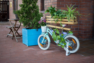 Fototapeta na wymiar flower bed bike
