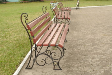 benches in the park on the pavement