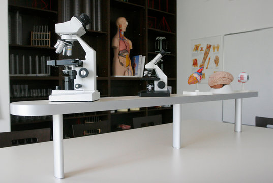Educational microscopes and human organs in biology classroom