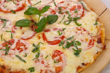 Pizza with tomato and cheese