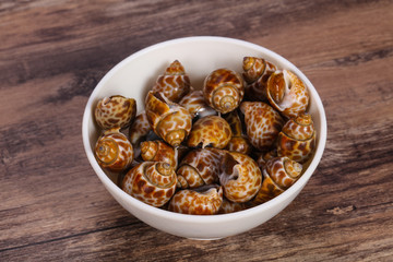 Tasty mollusk - spotted Babylon in the bowl