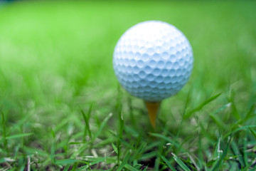 golf ball close-up in soft focus at sunlight with Green grass. wide landscape as background ,Sport playground for golf club concept.