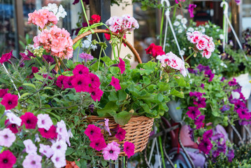 flower shop with flowers