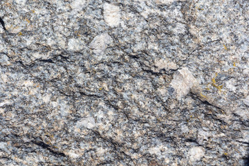 Fototapeta premium the texture of natural granite. natural stone. close up.