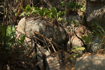 Landscape on the trail to Cabo San Juan in Tayrona NP in Colombia