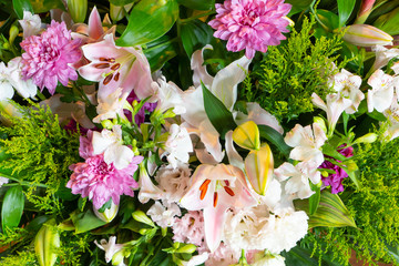 98 8 Flower Peachy Wall Murals Canvas Prints Stickers Wallsheaven 98 8 Flower Peachy Wall Murals Canvas Prints Stickers Wallsheaven