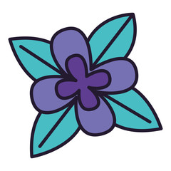 flower petals and leaves white background