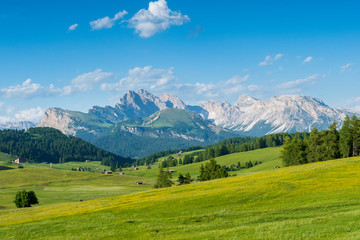 Fototapeta na wymiar Südtirol - Seiser Alm