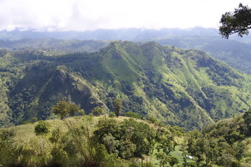 Naklejka premium view of mountains