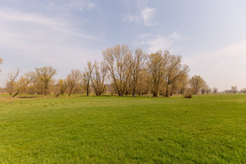 Elbe, Elbufer, Lauenburg