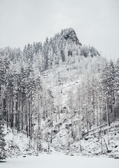 Foggy landscape of winter mountains. Tatra mountains.