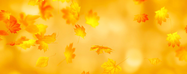 fallende herbstblätter abstrakt