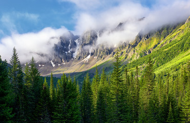 Mountain peaks are shrouded in thick fog. Summer morning in Siberian mountains