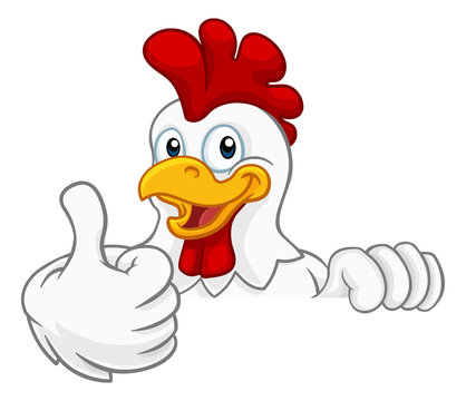 A chicken rooster cockerel bird cartoon character peeking over a sign and giving a thumbs up
