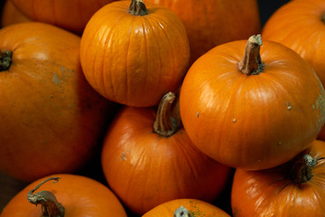 Heap of many orange pumpkins closeup