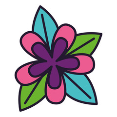 flower petals and leaves white background