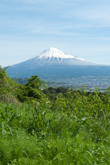Beautiful landscape with aerial view of Fuji City, Japan. Vegetation and Mount Fuji in day with blue sky and white clouds. Vertical shot.