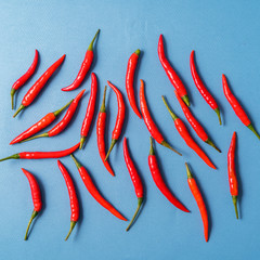 Red ripe spicy chili pepper pattern over blue background.