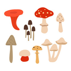 Set of poisonous mushrooms isolated on white background. Vector illustration in the style of flat