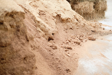 sawdust substrate for growing mushroom in farm