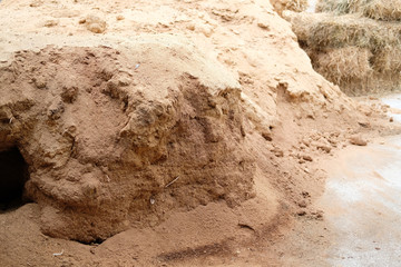 sawdust substrate for growing mushroom in farm