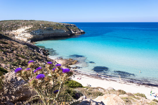 Lampedusa Island Sicily - Rabbit Beach and Rabbit Island  Lampedusa &ldquo;Spiaggia dei Conigli&rdquo; with turquoise water and white sand at paradise beach.