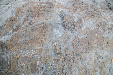 The detail texture stone/Nature stone background/ Rock the variety of colored and patterns/ Stone with cracks on the surface/