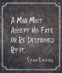 accept his fate Spartacus quote