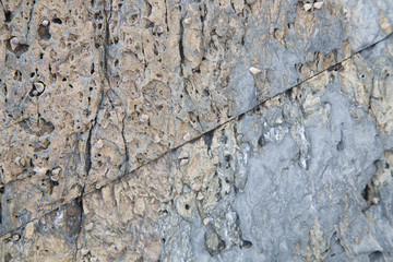 The detail texture stone/Nature stone background/ Rock the variety of colored and patterns/ Stone with cracks on the surface/