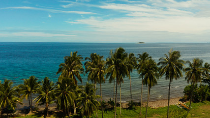 Obraz na płótnie Canvas Landscape with coconut trees and turquoise lagoon, view from above. Seascape with palm trees and a pebbly beach, Philippines, Camiguin,aerial view.