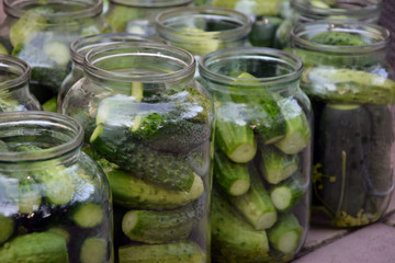 The photo shows cucumbers in the bank prepared for preservation.