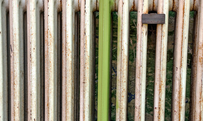 Stripes grunge white and green in vintage background