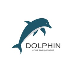 Dolphin logo icon vector template