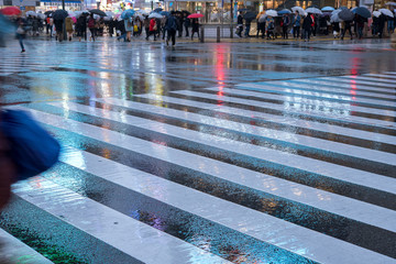 Rainy Shibuya Crossing with neon light reflection, Tokyo, Japan