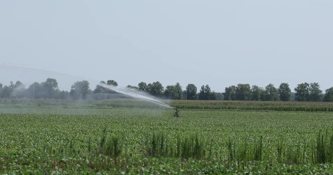 Sistema di irrigazione