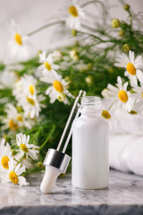Fototapeta na wymiar Concept of flowers and organic cosmetic. Essential camomile oil in glass bottle with fresh chamomile flowers, fragrant daisy oil, beauty treatment. Spa concept