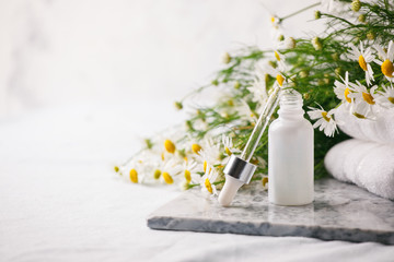 Concept of flowers and organic cosmetic. Essential camomile oil in glass bottle with fresh...