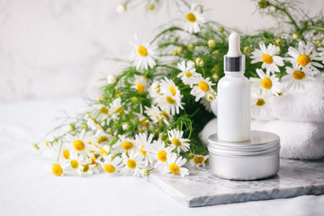 Spa and wellness setting. Composition with chamomile flowers and cosmetic bottle of essential oil...